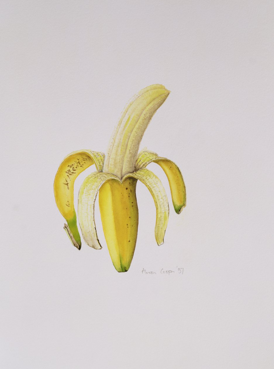 एक आधा छिलका केले, 1997 द्वारा एलिसन कूपर