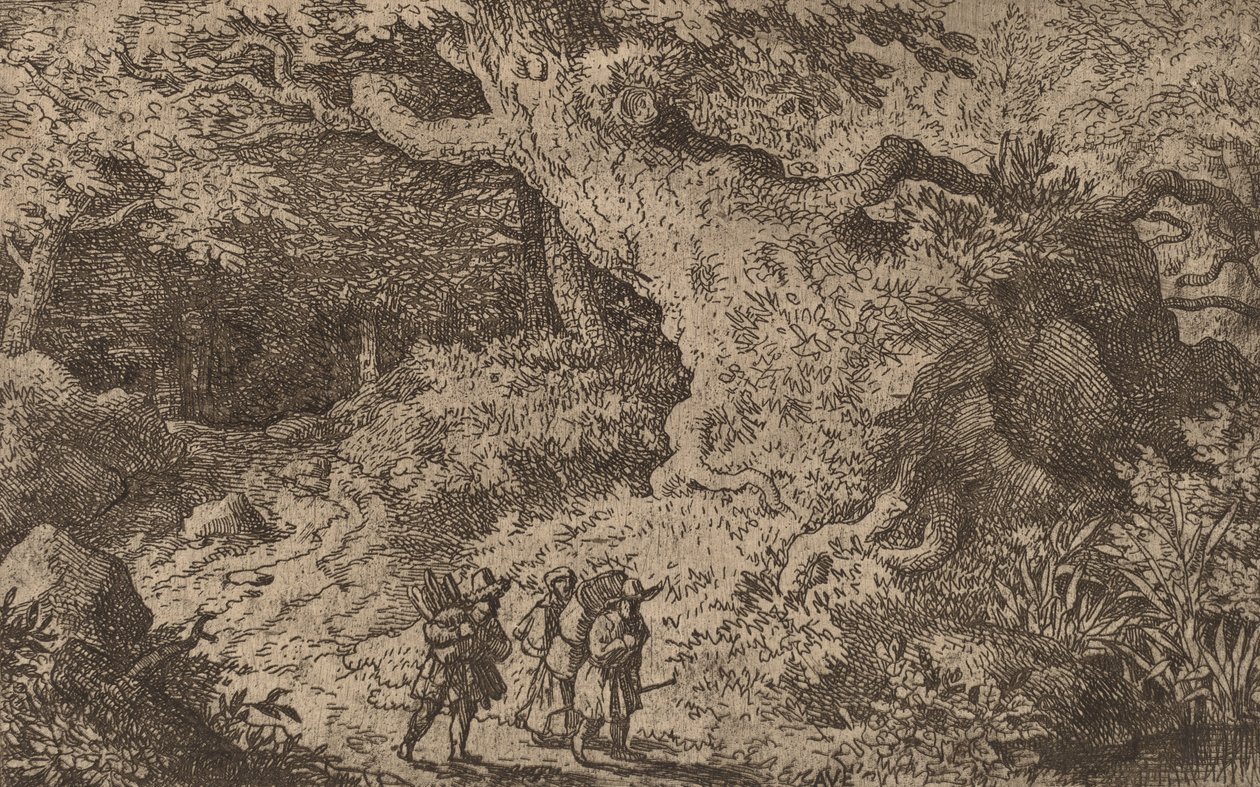 एक घना जंगल, शायद c. 16451656. द्वारा एलर्ट वैन एवरडिंगन