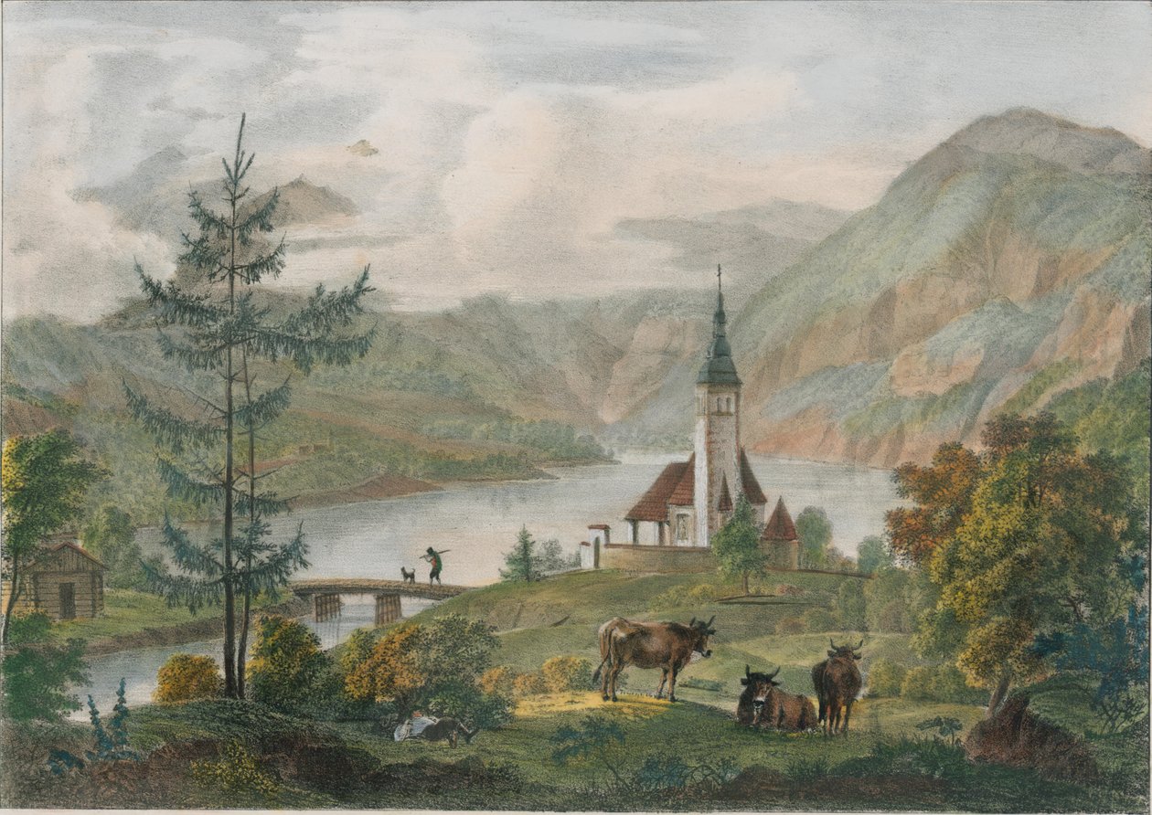 Bohinj द्वारा सार के एलो