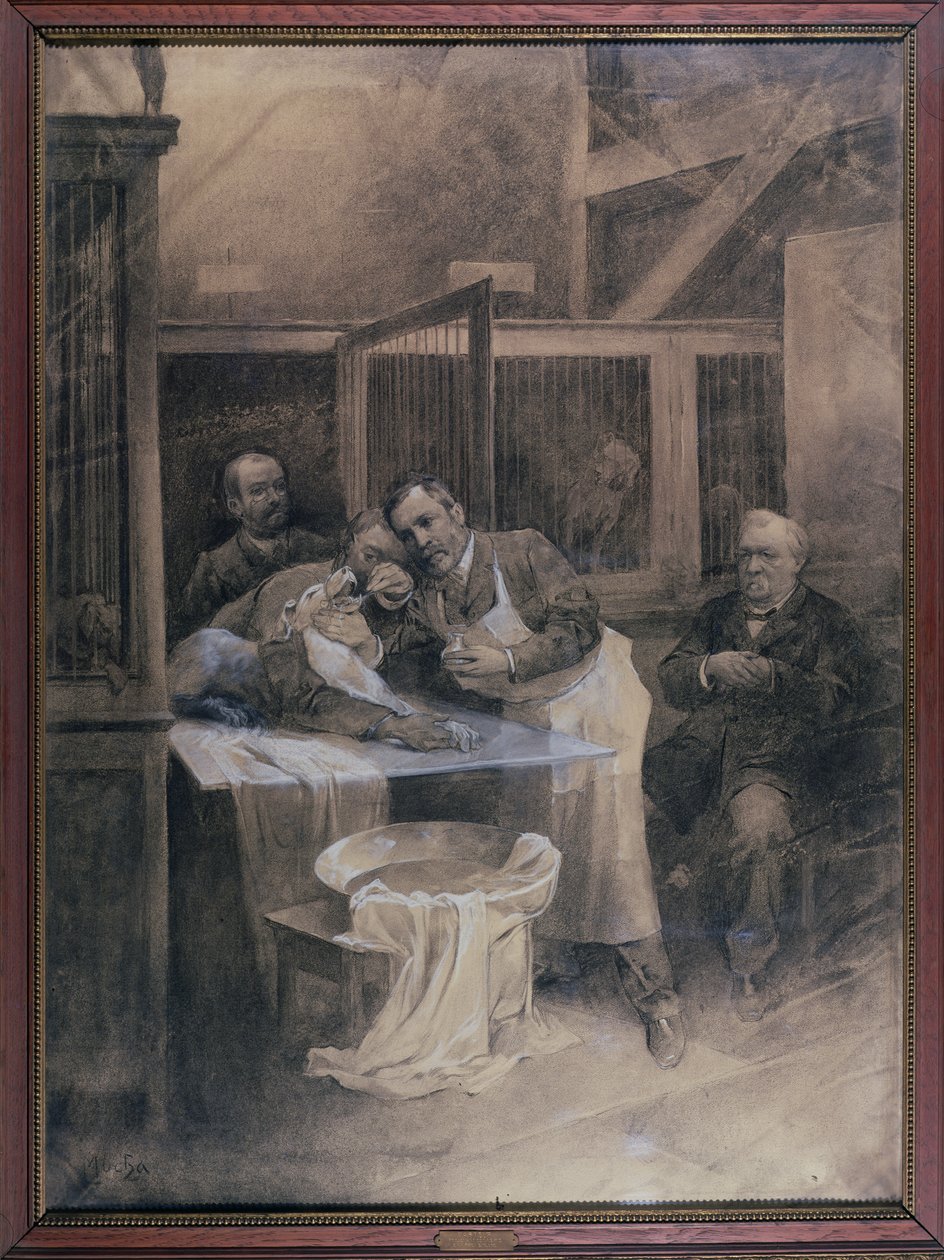 लुई पाश्चर (1822-95) ने एक पागल कुत्ते (चारकोल) से फोम का एक नमूना लिया द्वारा अल्फोंस मुचा
