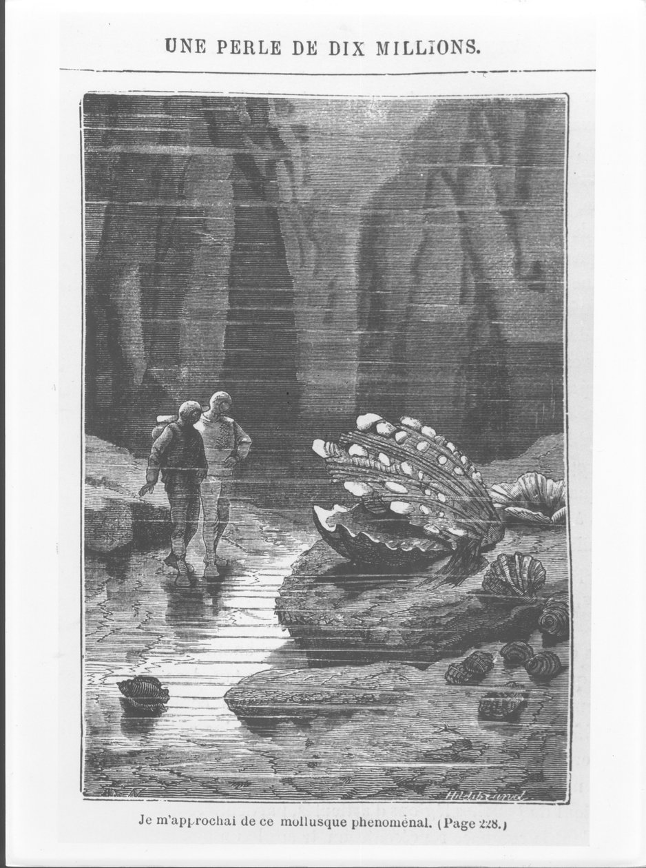 जूल्स वर्ने (1828-1905) द्वारा हेनरी थियोफाइल हिल्डिब्रेंड (1824-97) c.1869-70 द्वारा उत्कीर्ण &39;20, 000 लीव्स द सी &39;के तहत चित्रण द्वारा अल्फोंस मैरी डी न्यूविल
