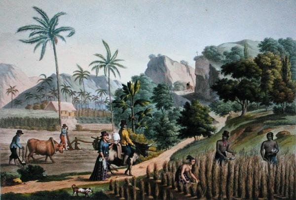 गुआम का द्वीप: पोमेल द्वारा उकेरी गई 'ए वॉयज अराउंड द वर्ल्ड ऑन द कॉर्वेट्स ऑफ यूरेनिया 1817-20' से कृषि कार्य, 1825 में प्रकाशित (उत्कीर्णन) द्वारा अल्फोंस (बाद में) पेलियन