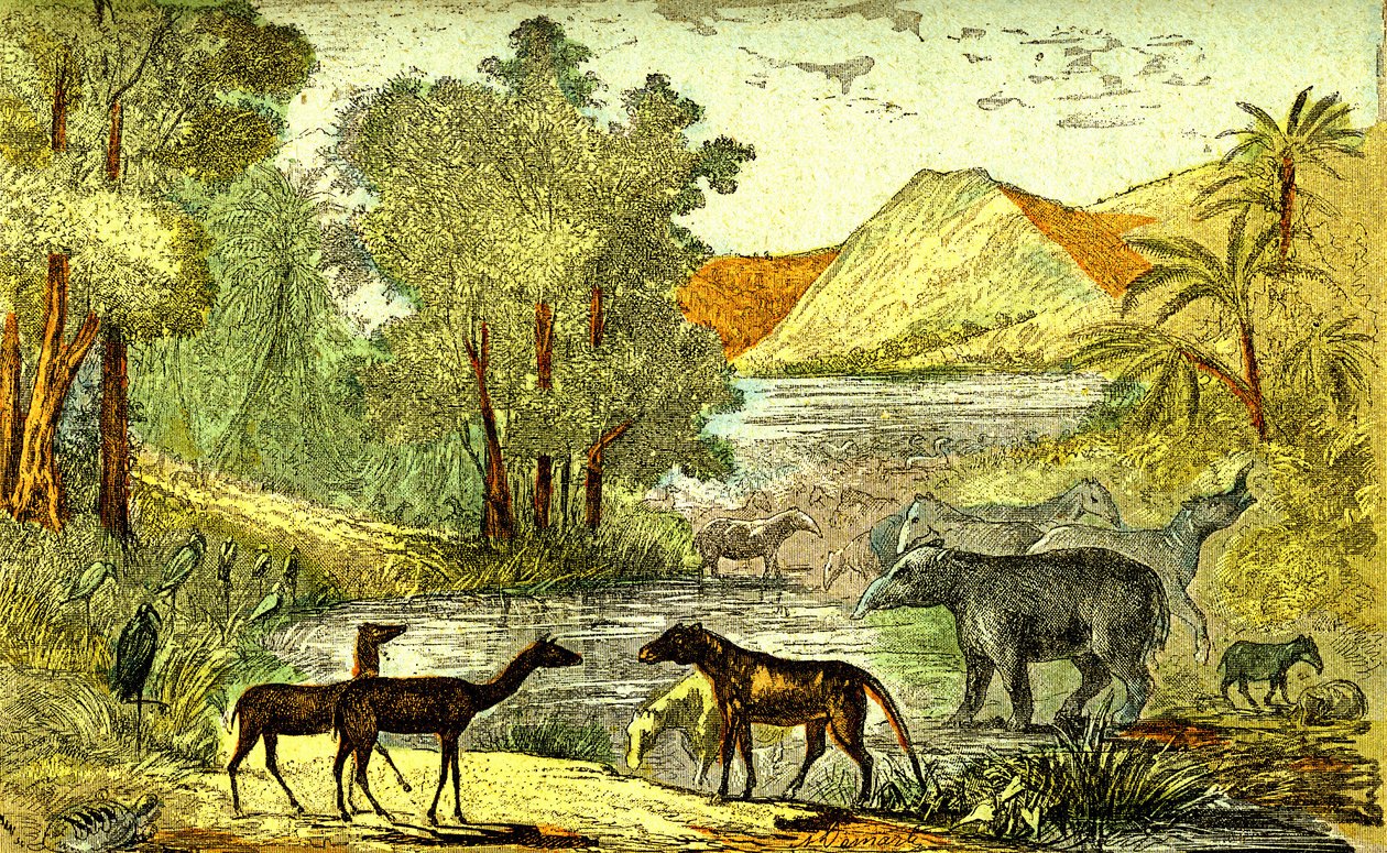  द्वारा अल्फोंस डेमर्ले
