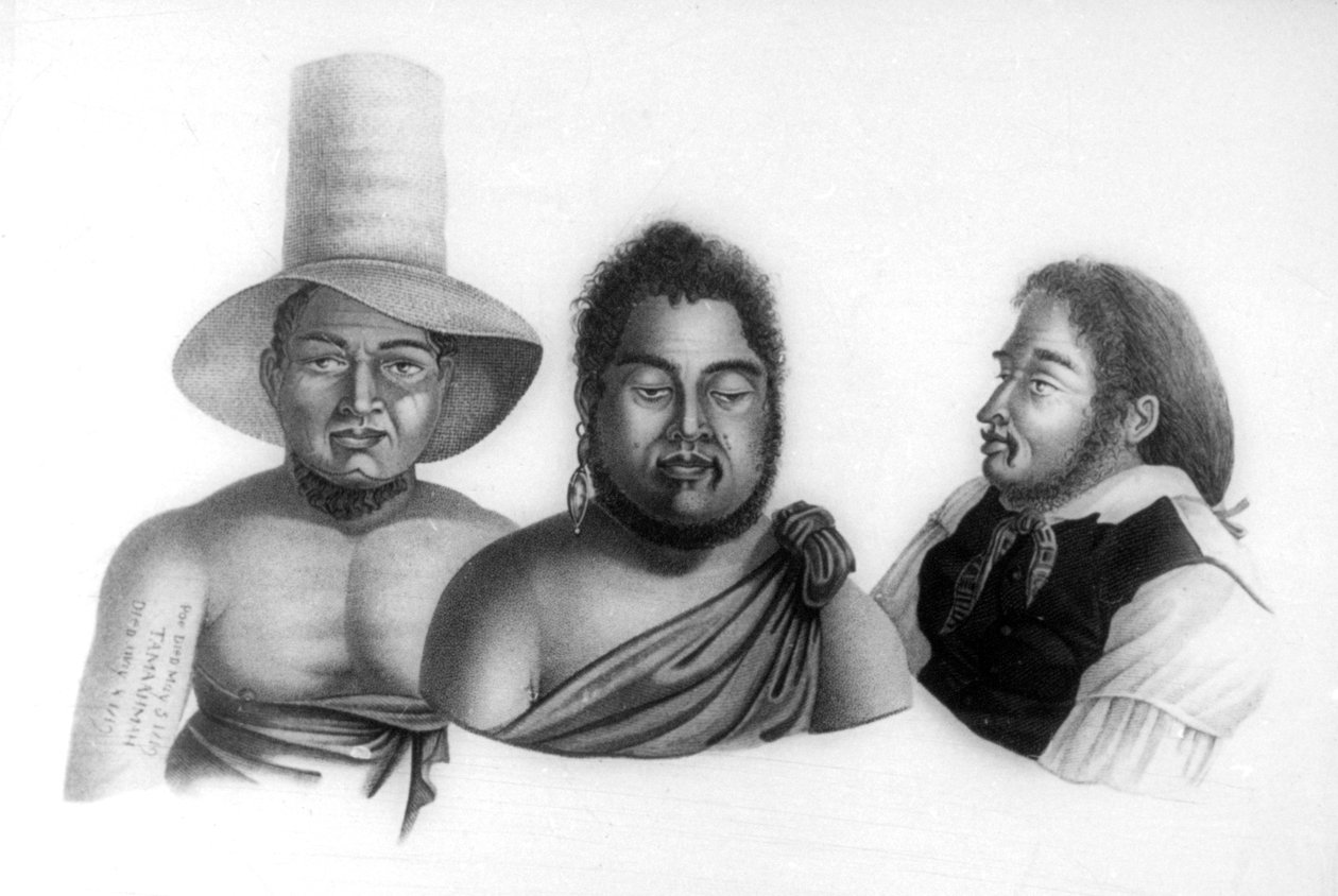 1819 में सैंडविच द्वीप समूह के प्रमुखों के चित्र। द्वारा अल्फोंस पेलियन