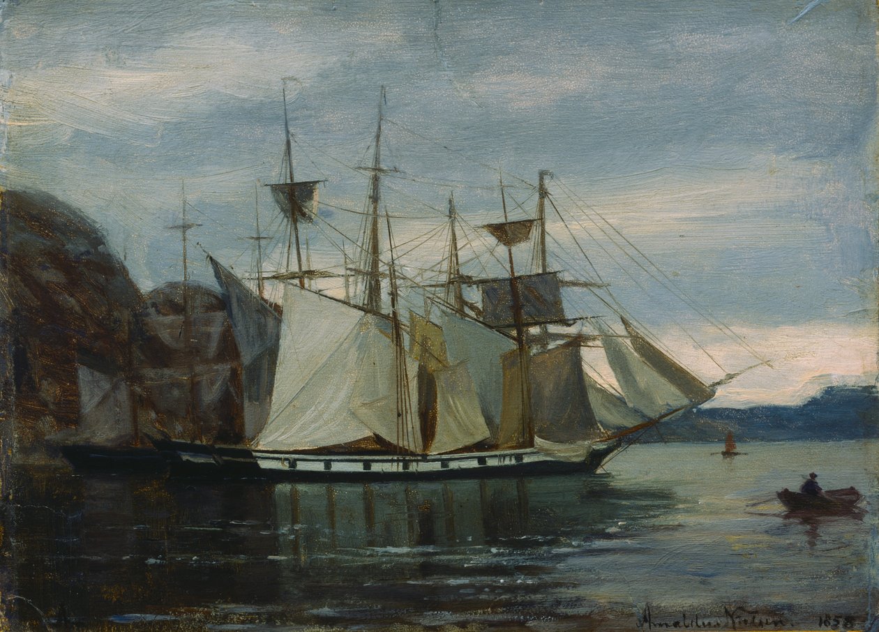  द्वारा अमलडस नीलसन