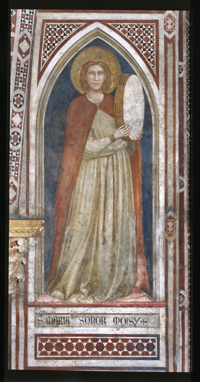  द्वारा एम्ब्रोगियो बॉन्डोन (कार्यशाला) Giotto
