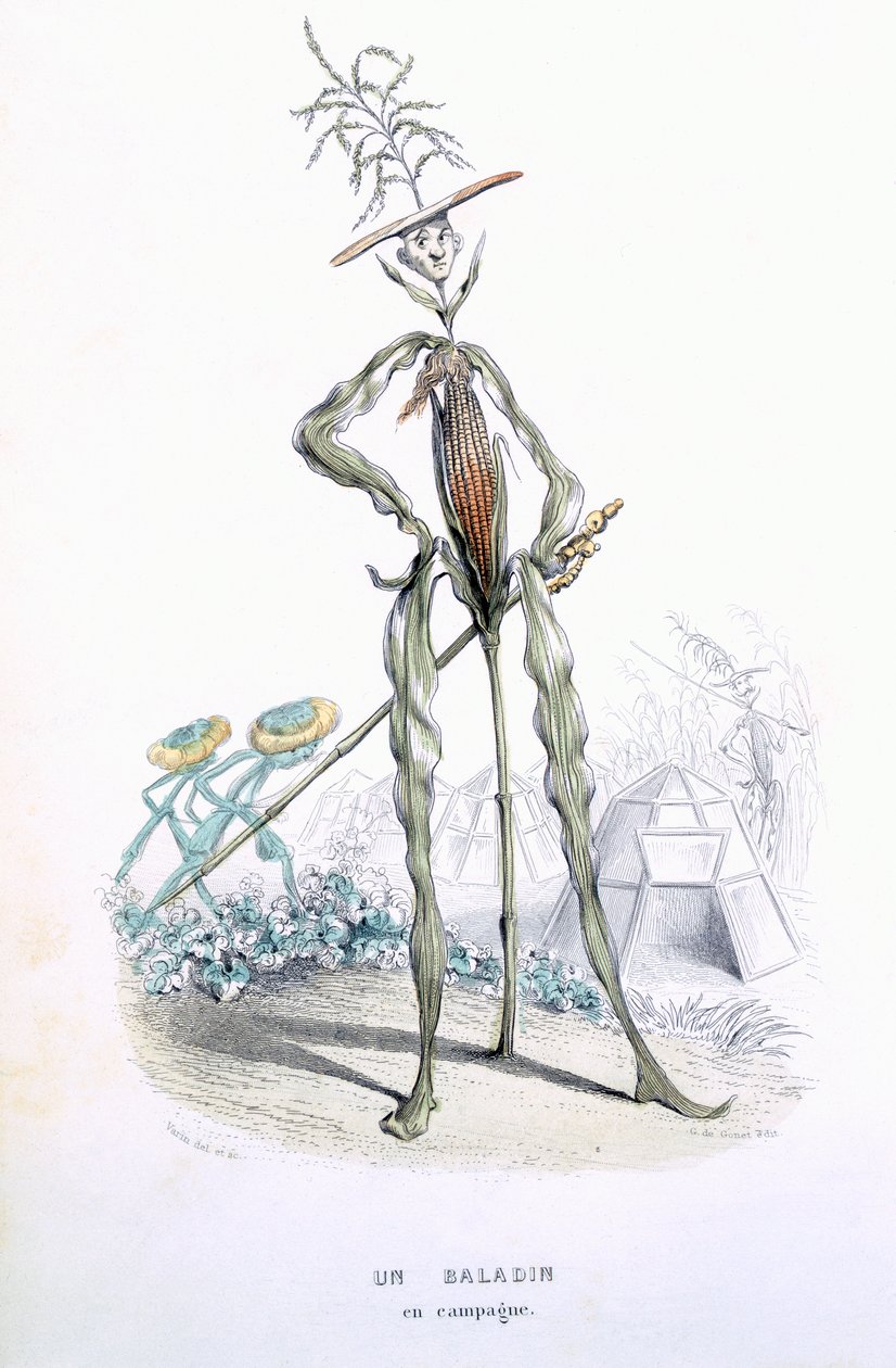 यूजीन नूस और मेरे एंटोनी, 1851 (रंग उत्कीर्णन) द्वारा &39;L&39;Empire des Legumes, Memoires de Curcurbitus&39; से एक कंट्री स्ट्रॉलर द्वारा अमेडी वरिन