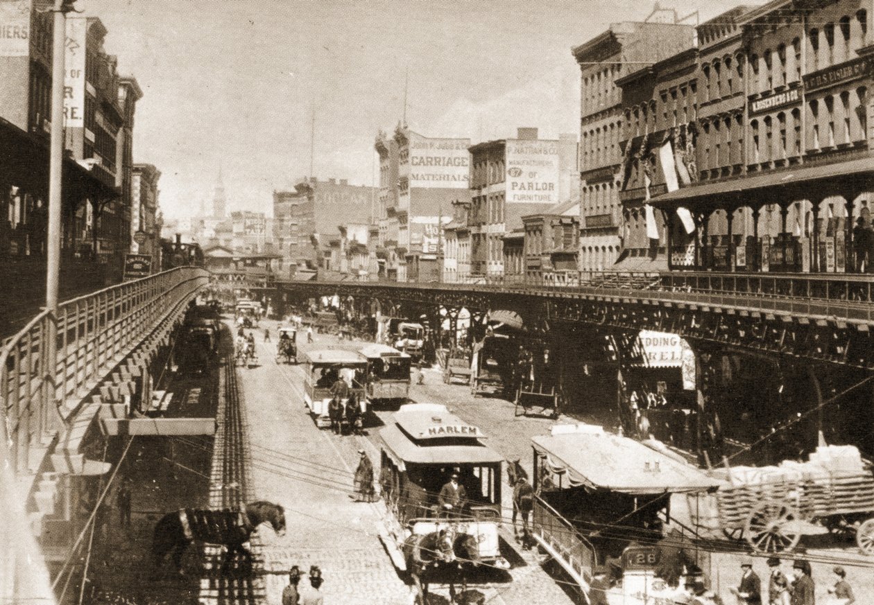 बोवर, कैनाल स्ट्रीट, न्यूयॉर्क शहर, 1888 से उत्तर की ओर देख रहा है द्वारा अमेरिकी फोटोग्राफर
