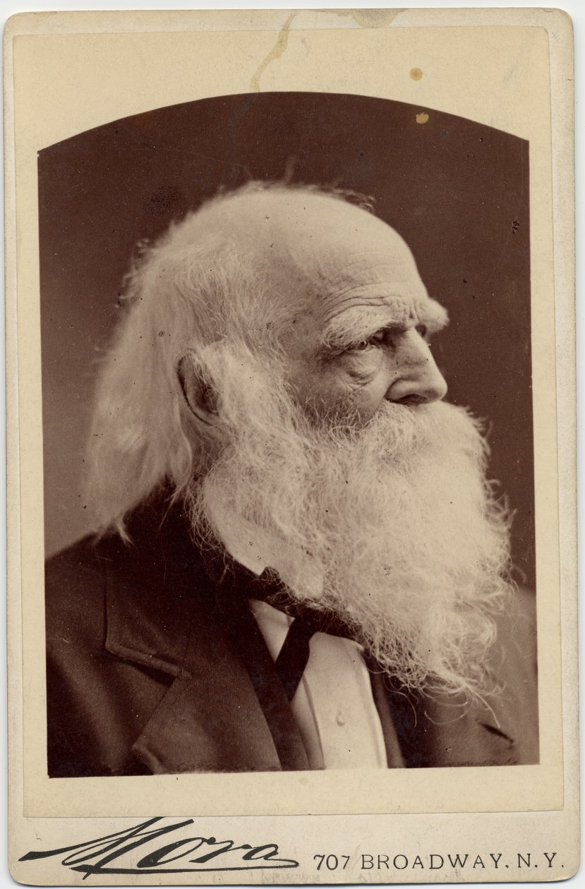 विलियम कुलेन ब्रायंट (1794-1878), अमेरिकन पोएट, अल्बर्ट जे मोरा, न्यूयॉर्क (एल्बम एल्बम) द्वारा फोटो द्वारा अमेरिकी फोटोग्राफर