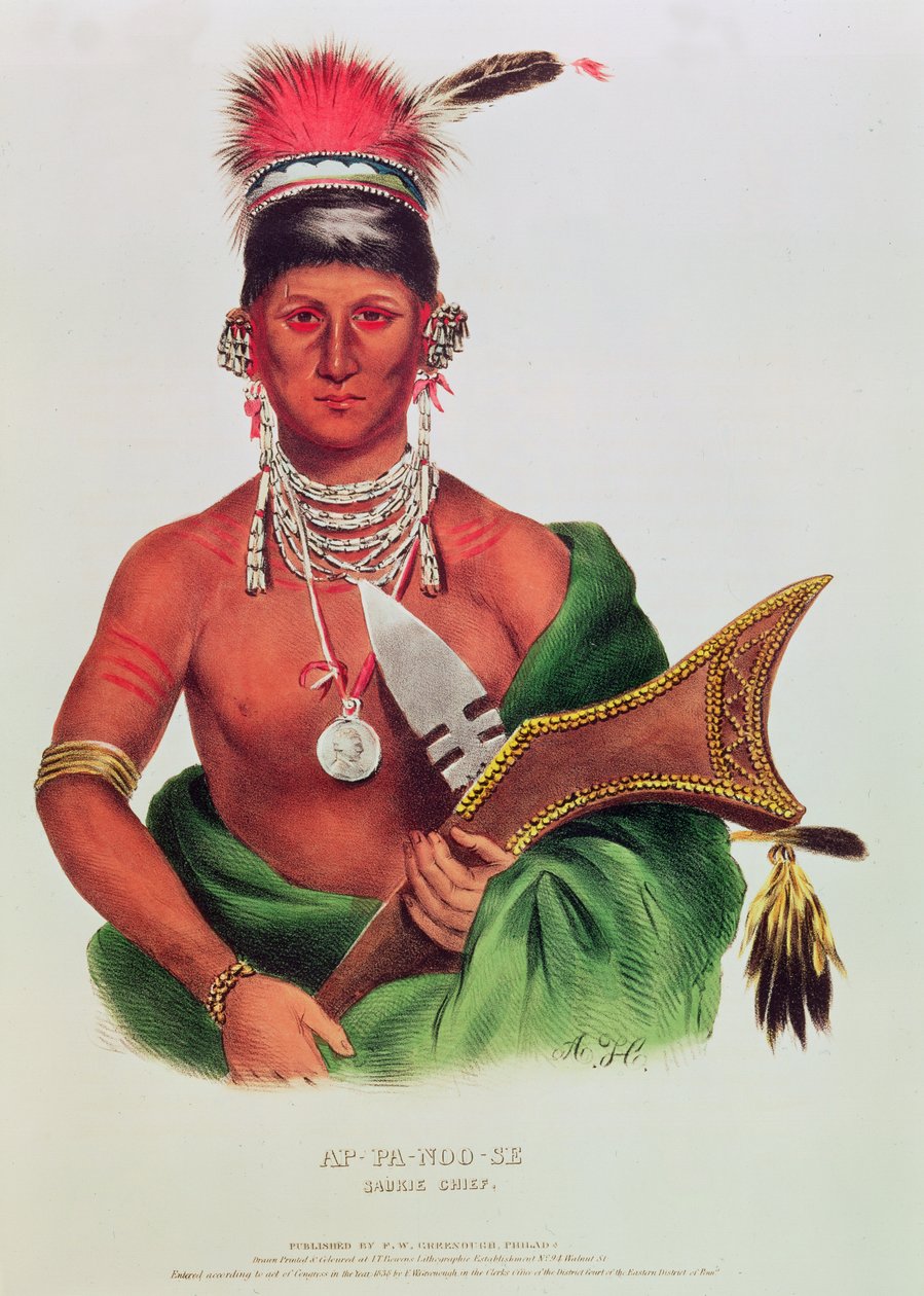 Ap-Pa-Noo-Se, Saukie Chief  द्वारा अमेरिकी स्कूल