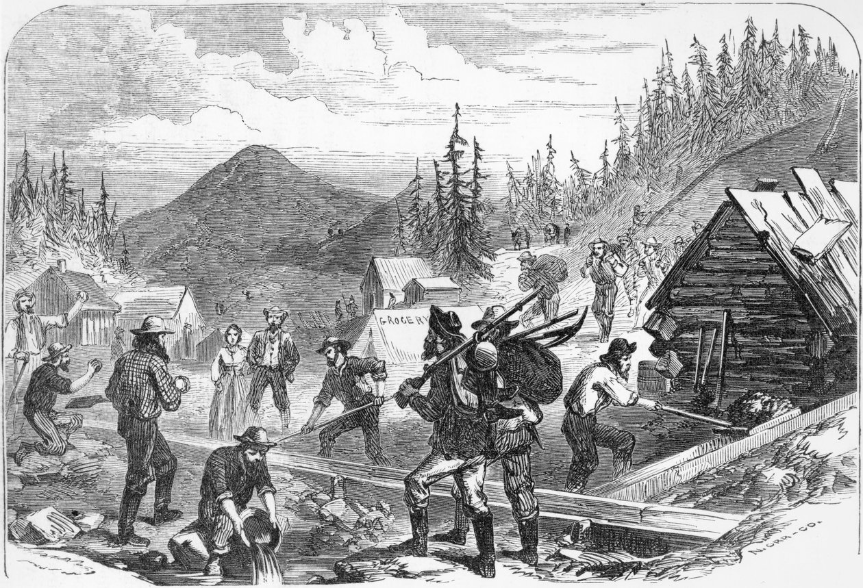 ग्रेगरी गोल्ड डिगिंग्स, कोलोराडो, जी। ऑर द्वारा उत्कीर्ण, 1859 द्वारा अमेरिकी स्कूल