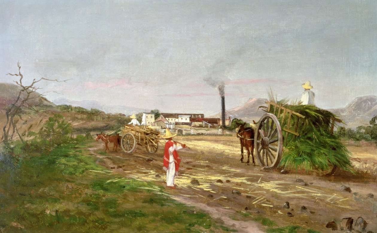 गन्ने का संग्रह करने वाले किसान, मध्य अमेरिका, c.1840 द्वारा अमेरिकी स्कूल