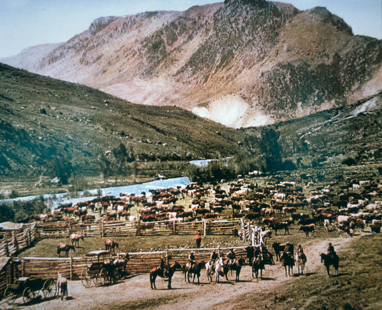 मवेशी खेत, कोलोराडो द्वारा अमेरिकी फोटोग्राफर
