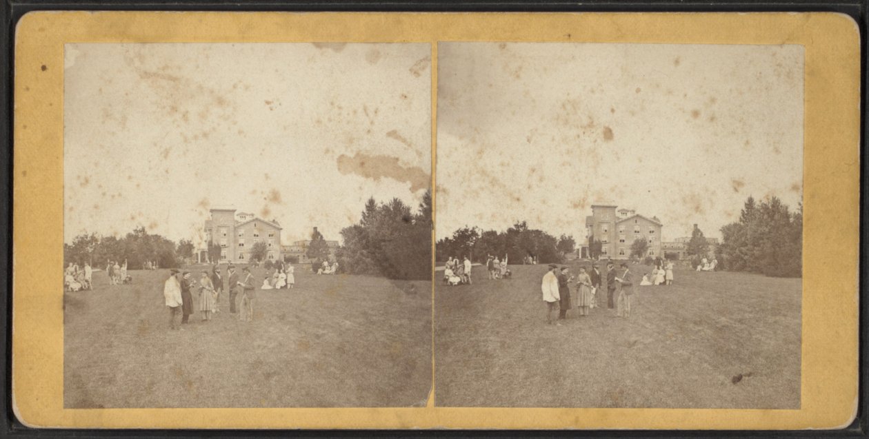 नॉर्थ फ्रंट एंड लॉन, वनडा कम्युनिटी, न्यूयॉर्क स्टेट, c.1870 द्वारा अमेरिकी फोटोग्राफर