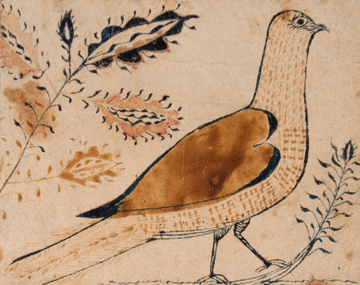 चिड़िया द्वारा अमेरिकी स्कूल