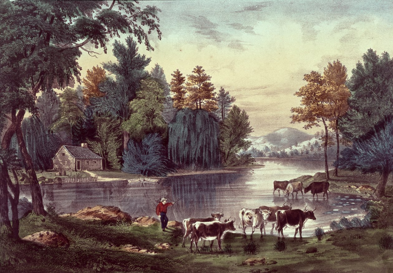 नथानिएल करियर (1813-88) और जेम्स मेरिट इवेस (1823-95) (रंग लिथो) द्वारा प्रकाशित एक झील के किनारे पर गायें द्वारा अमेरिकी स्कूल