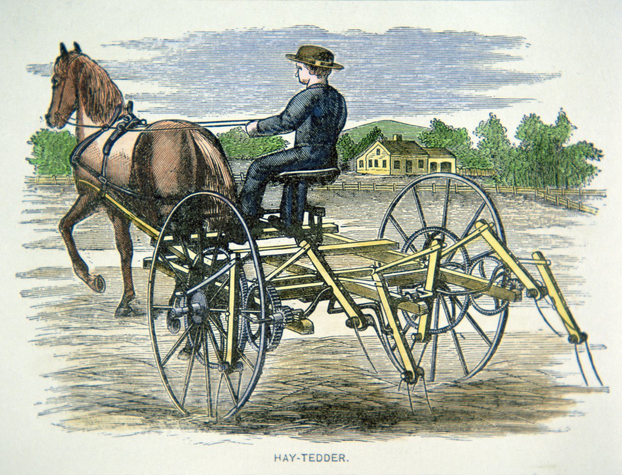 हे-टेडर फार्मिंग मशीन, c.1880 (रंगीन उत्कीर्णन) द्वारा अमेरिकी स्कूल