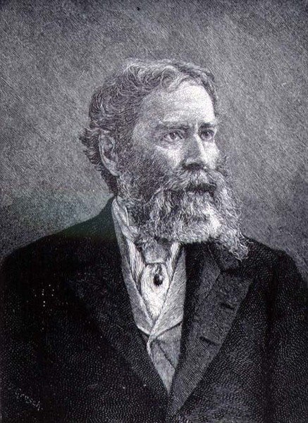 जेम्स रसेल लोवेल (1819-1891) (उत्कीर्णन) द्वारा अमेरिकी स्कूल