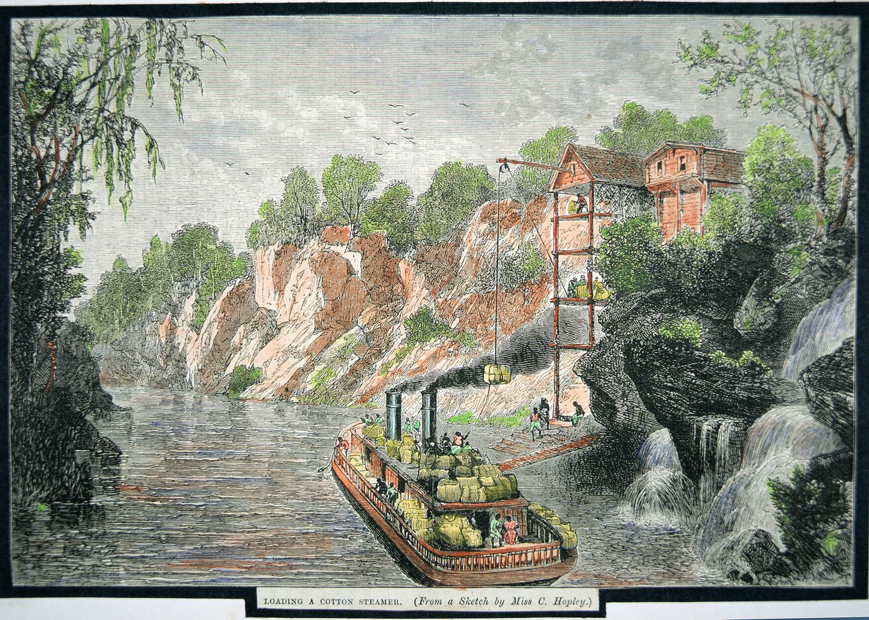 एक बागान से कपास की गांठों के साथ स्टीमबोट लोड हो रहा है, c.1860 (रंगीन उत्कीर्णन) द्वारा अमेरिकी स्कूल