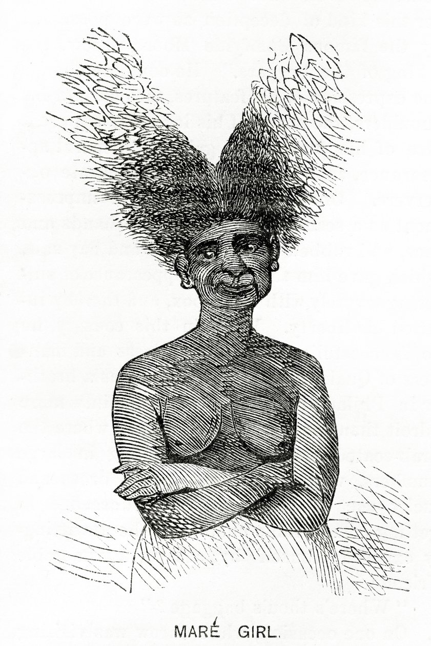 घोड़ी लड़की, एप्लेट्स जर्नल से चित्रण, 4 मई, 1872 द्वारा अमेरिकी स्कूल