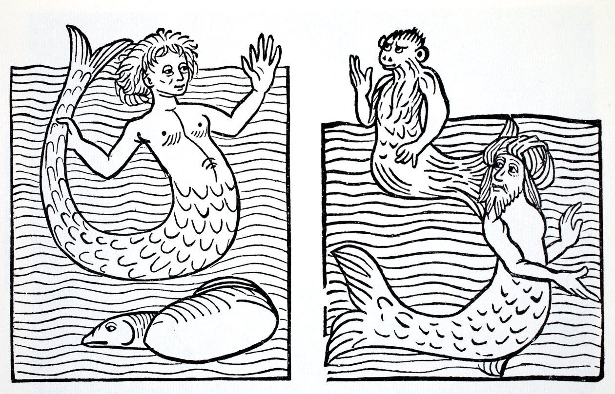 Mermaids और Mermen, थॉमस केइटली (1789-1872) द्वारा 1880 में प्रकाशित गनोम, परियों, कल्पित बौने और अन्य छोटे लोगों के लिए वर्ल्ड गाइड से प्रकाशित (BW उत्कीर्णन) द्वारा अमेरिकी स्कूल