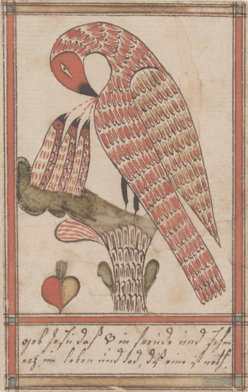 पेलिकन अपने देशभक्ति में, c.1800 (कागज पर स्याही और wc) द्वारा अमेरिकी स्कूल