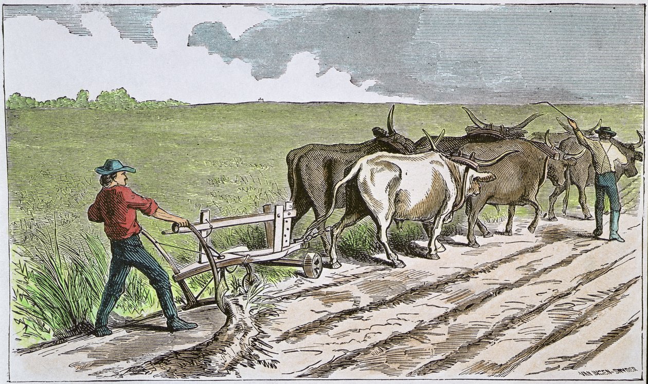 अमेरिकी पश्चिम के सोडबस्टर्स, c.1880 (रंगीन उत्कीर्णन) द्वारा अमेरिकी स्कूल