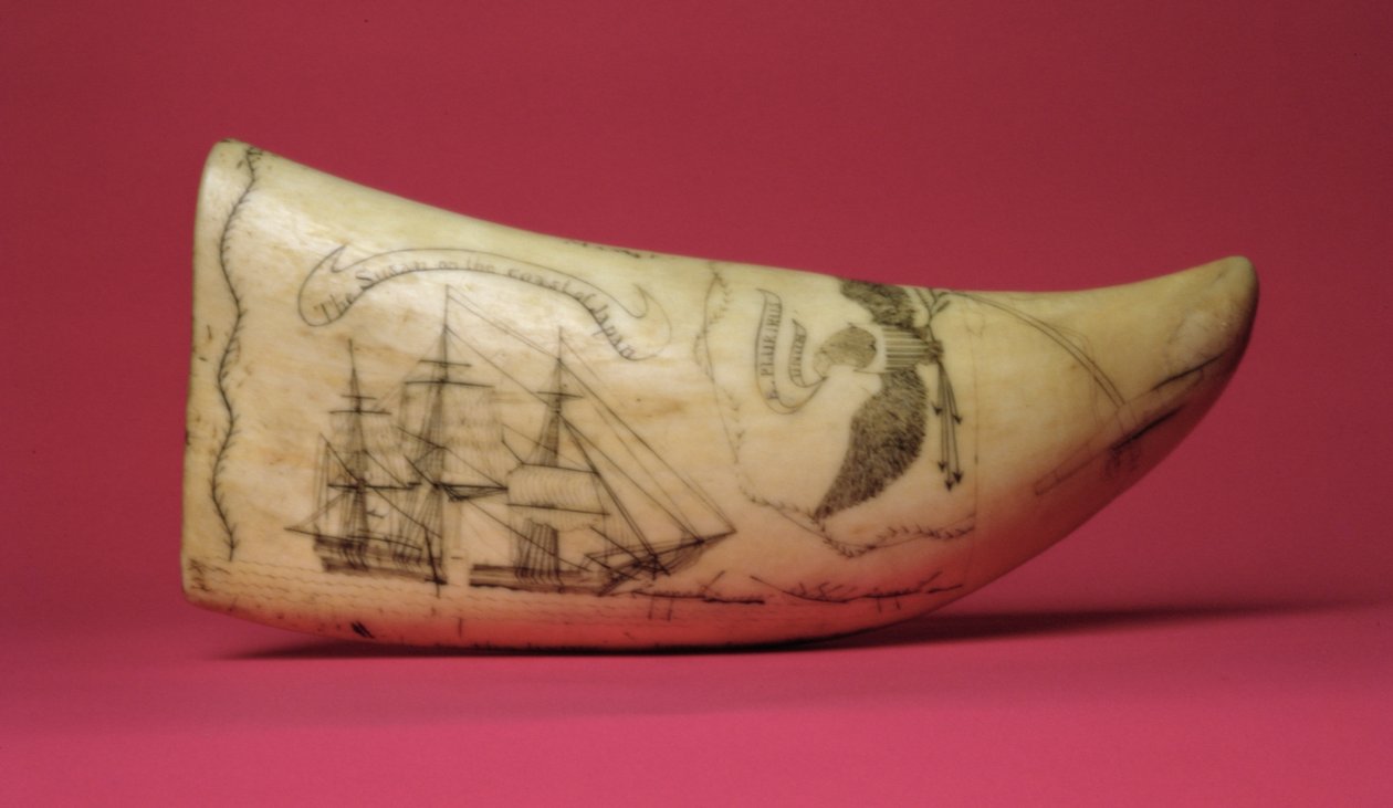 जापान Scrimshaw (दांत) के तट पर सुसान द्वारा अमेरिकी स्कूल