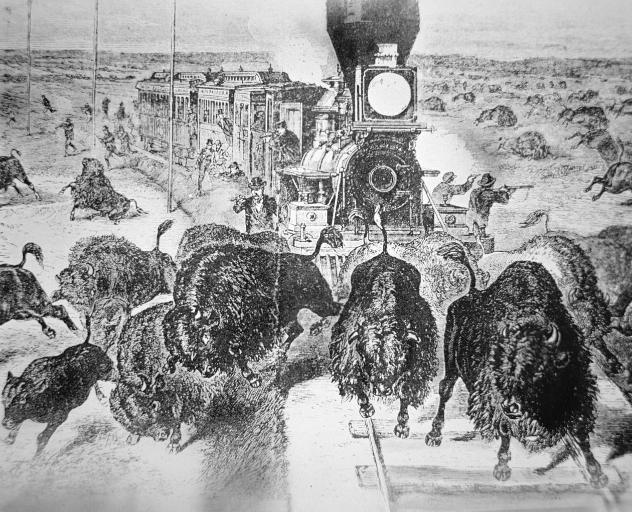 कैनसस पैसिफिक रेलरोड पर ट्रेन पैसेंजर्स, 1870 के दशक में खेल के लिए भैंस की शूटिंग (लिथो) द्वारा अमेरिकी स्कूल