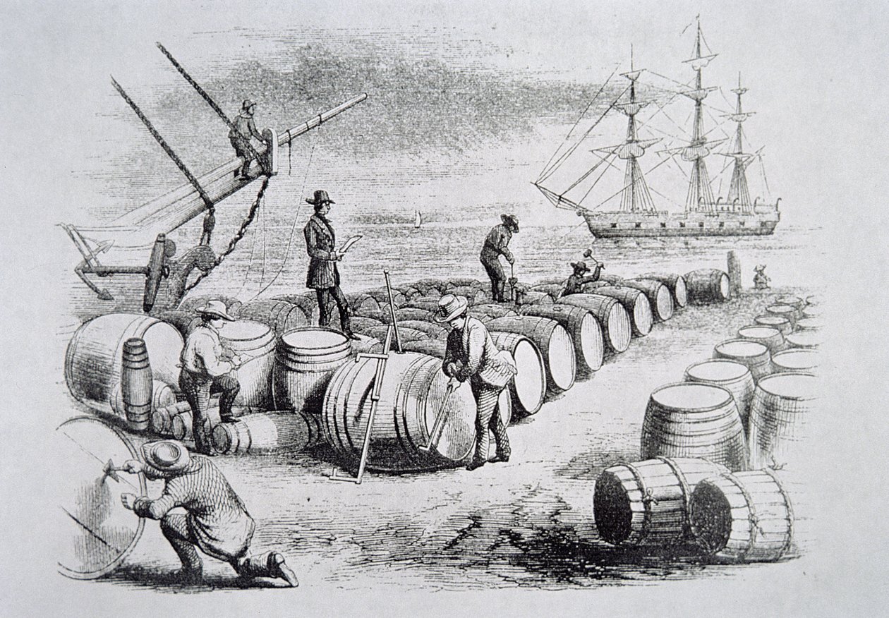 द अमेरिकन व्हेल फिशरी से बैरल में ऑइल गेजिंग व्हेलर्स, c.1850 (उत्कीर्णन) द्वारा अमेरिकी स्कूल