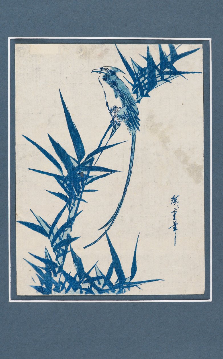 Ukiyo-e प्रिंट - नीले रंग में एक शाखा पर पक्षी, c1820-1858 द्वारा एंडो हिरोशिगे