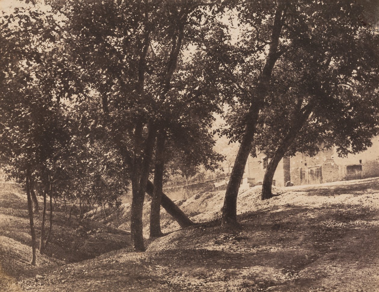 पेड़, सी. 1855. द्वारा आंद्रे गिरौक्स