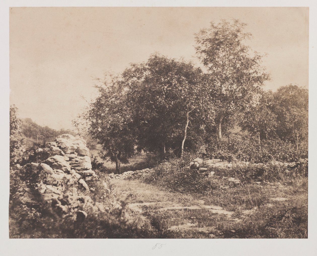 फॉनटेनब्लो के अनटाइटल्ड सीन, सी। 1853। द्वारा आंद्रे गिरौक्स
