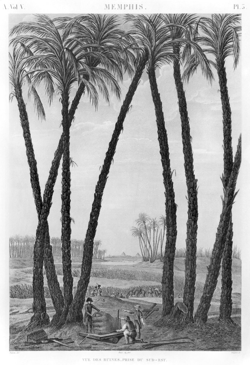जीन लुई डेलिगन (1755-1804) द्वारा उत्कीर्ण दक्षिण पूर्व से मेम्फिस के खंडहर का दृश्य द्वारा आंद्रे डुटरट्रे