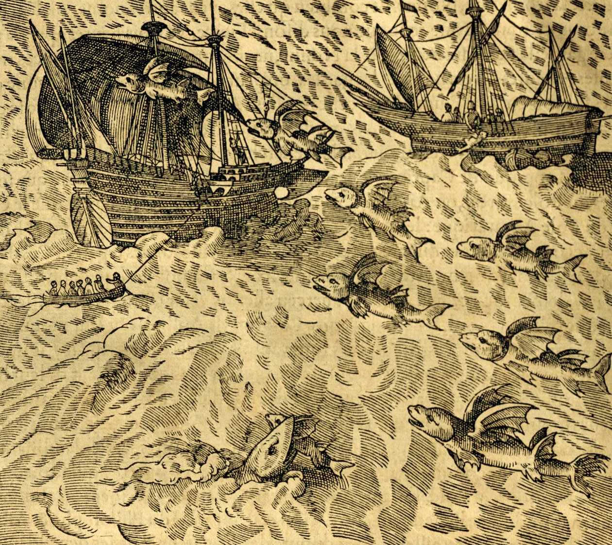 उष्णकटिबंधीय समुद्रों में उड़ने वाली मछली, आंद्रे थेवेट (1504-1592), पेरिस द्वारा कॉस्मोग्राफी यूनिवर्सेल से उकेरी गई द्वारा आंद्रे तिवेट