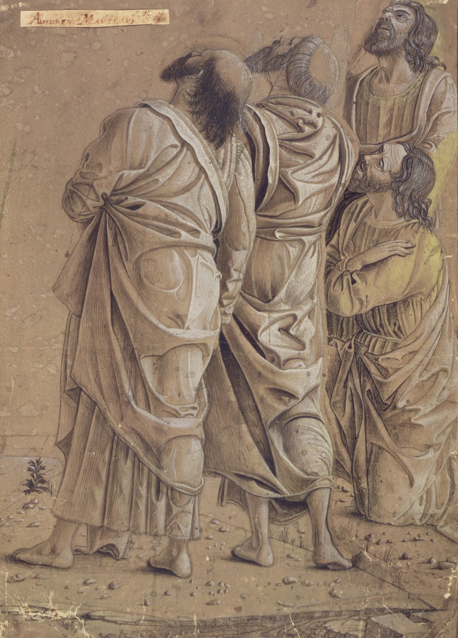 मसीह के उदगम से प्रेरितों का समूह, c.1506 (रंगीन स्याही, भूरा धोना) द्वारा एंड्रिया मेंटेग्ना