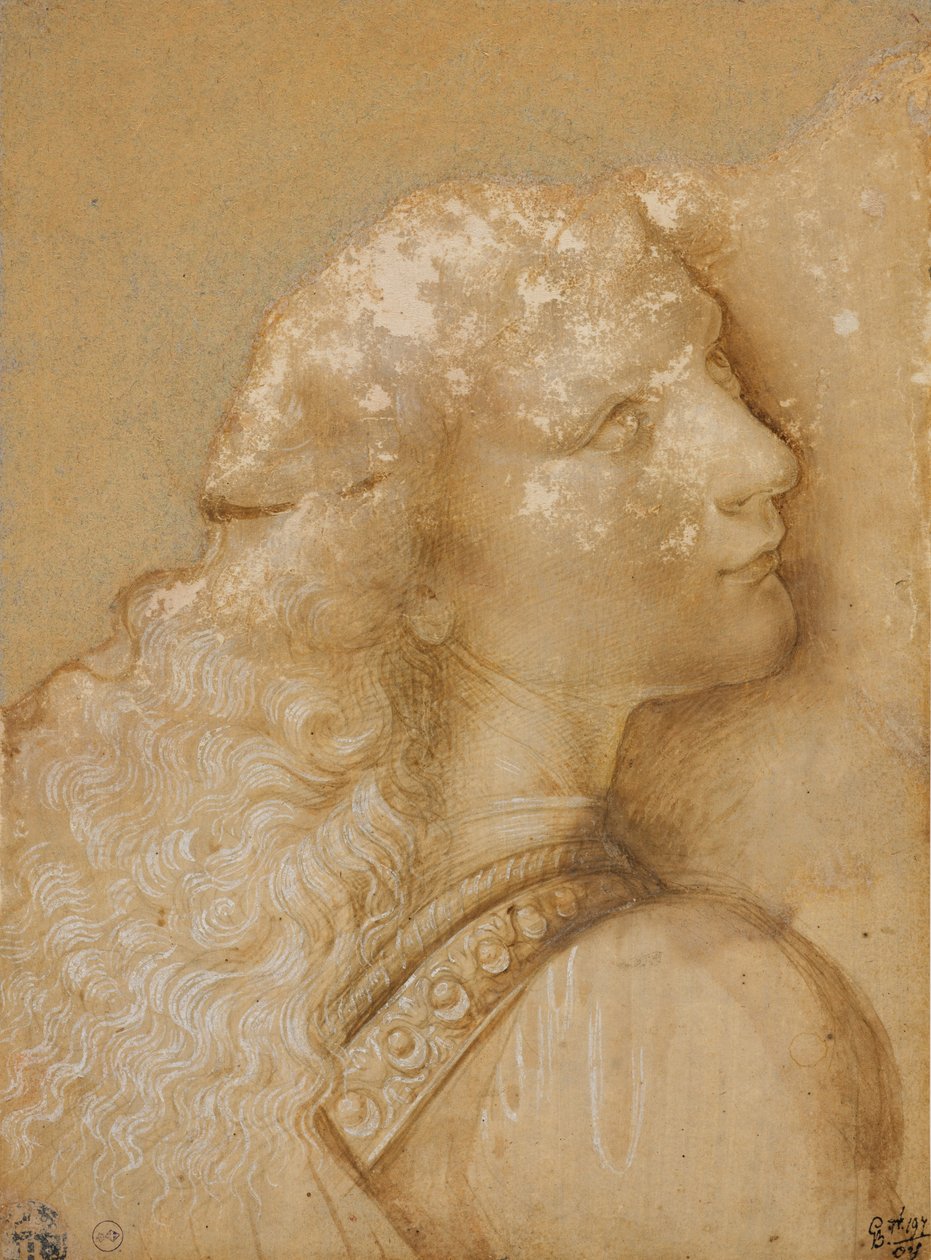 एक युवक का बस्ट, वेरोकचियो के "बपतिस्मा के मसीह" के दूत के लिए अध्ययन, सी। 1475 (धातु की नोक, गेरूआ रंग का पानी और सफेद स्याही तैयार कागज की रोशनी के लिए) द्वारा एंड्रिया डेल वेरोकियो