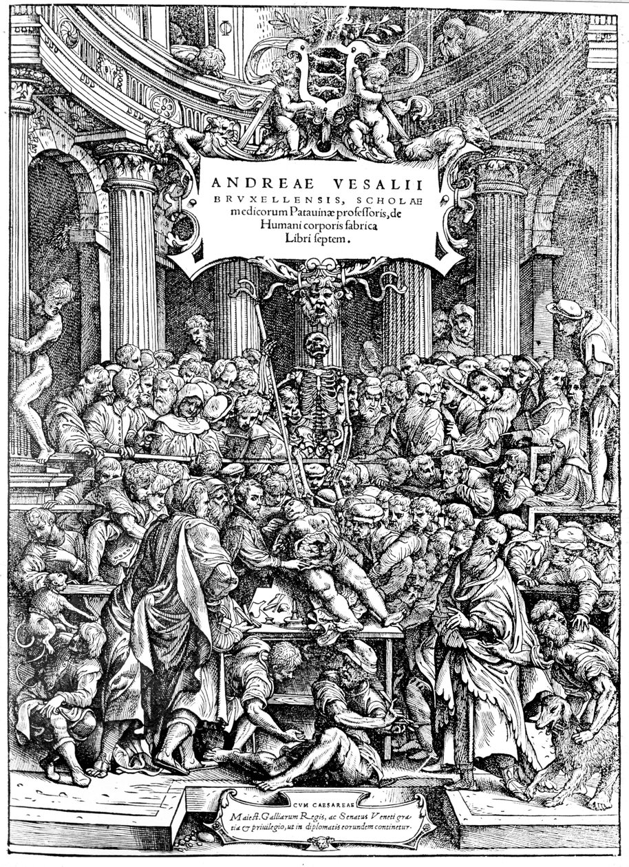 मानव शरीर के शीर्षक पृष्ठ, Vesalius &39;Fabrica दिखा चीर-फाड़ शरीर 1543 ड्राइंग द्वारा एंड्रयू वेसालियस