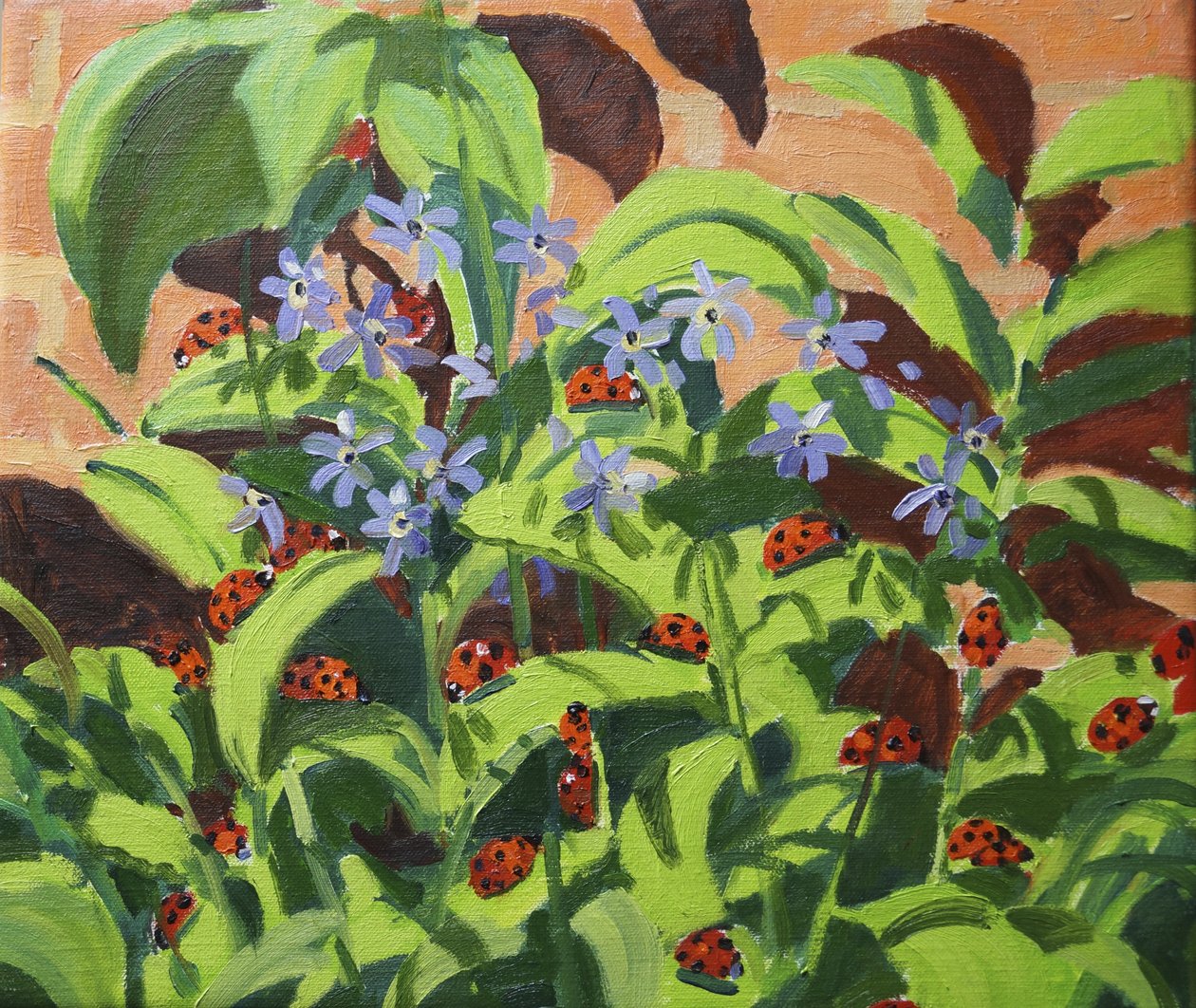 Ladybirds, 2013 द्वारा एंड्रयू मकारा