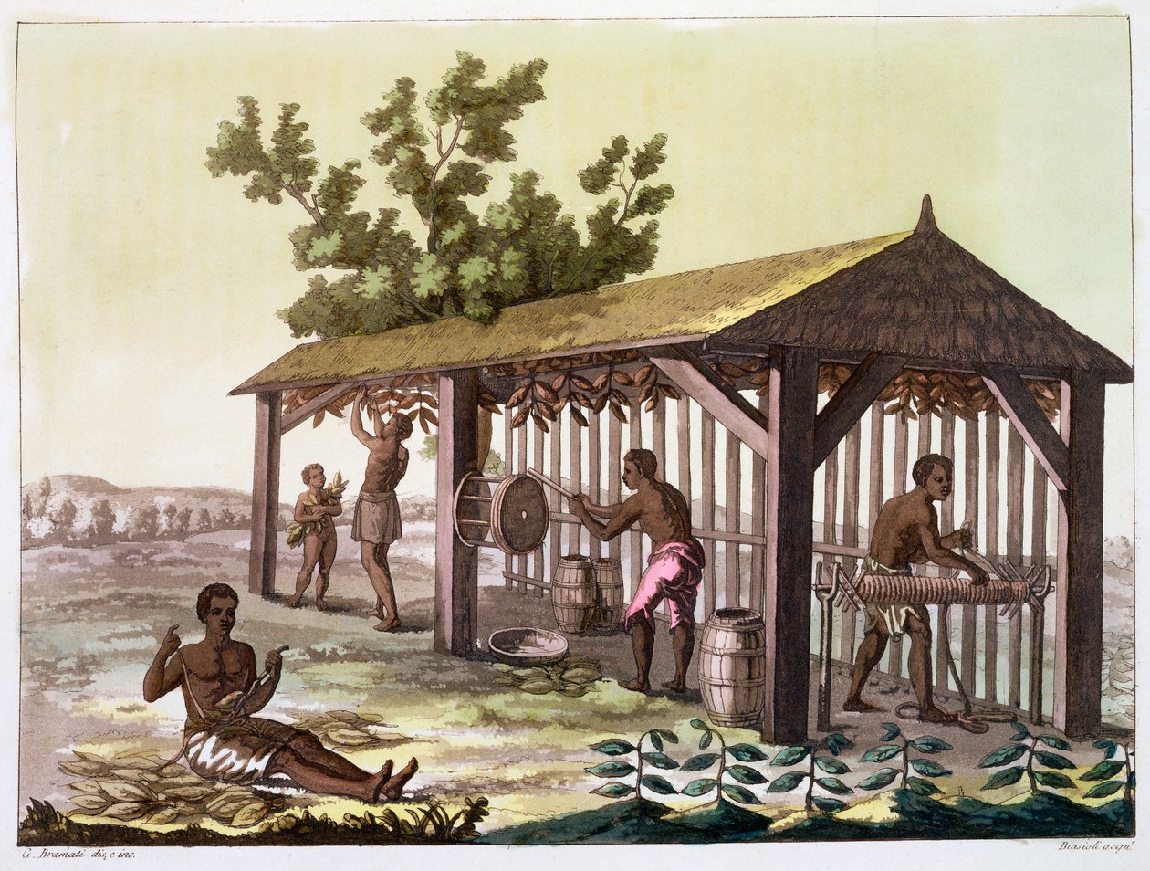 तम्बाकू तैयार करने वाले दास, वर्जीनिया, संयुक्त राज्य अमेरिका। c1790 c1820-1839 द्वारा एंजेलो बायसियोली