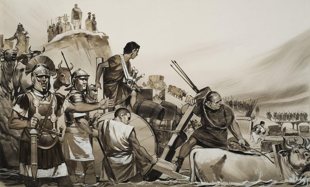  द्वारा एंगस मैकब्राइड