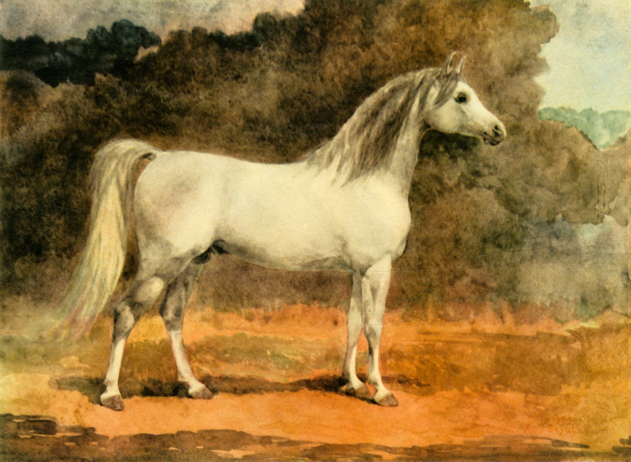 एक प्रसिद्ध अरेबियन स्टालियन, c1870s, 1944। द्वारा ऐनी ब्लंट