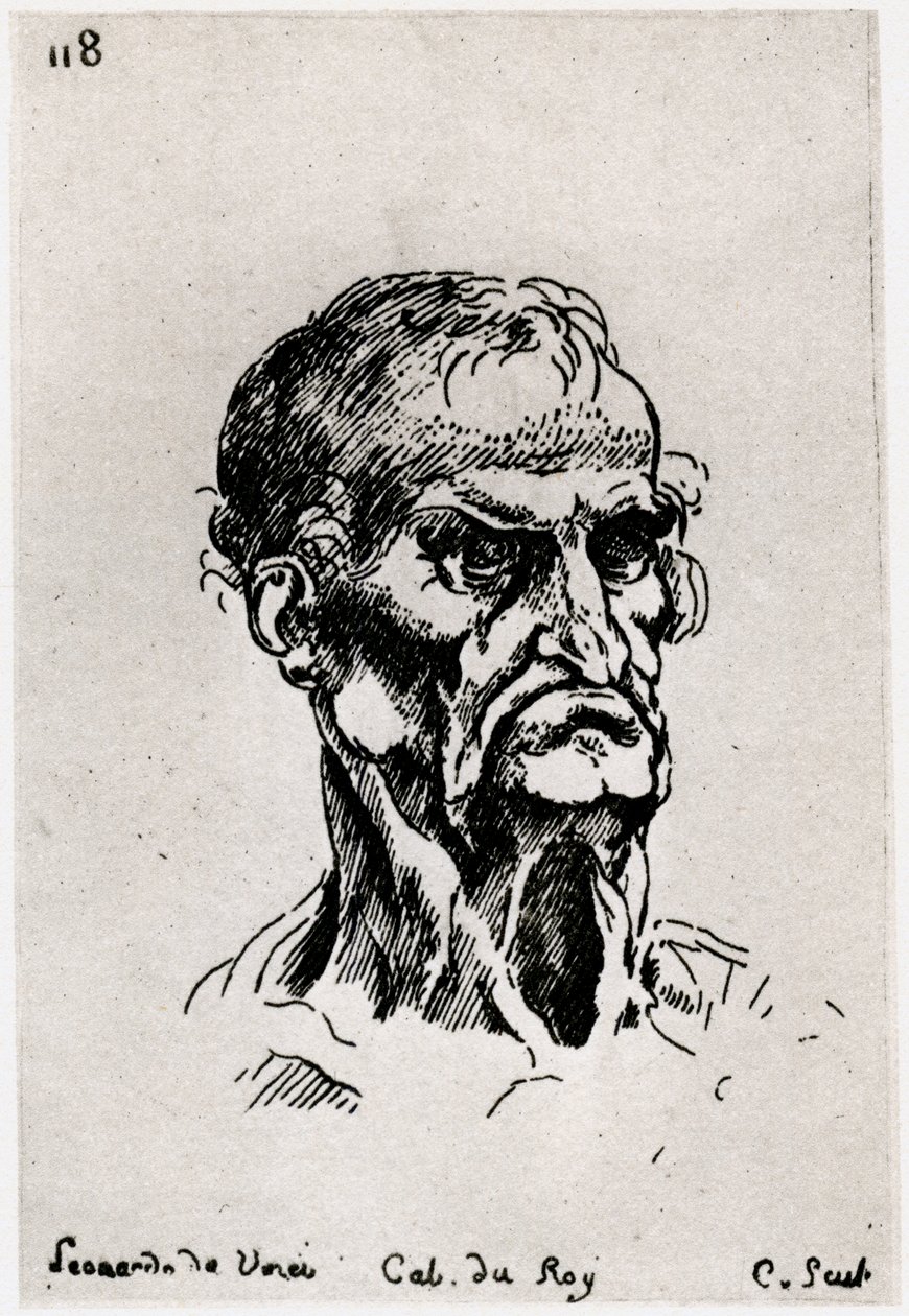 लियोनार्डो डी विंसी के बाद ड्राइंग, c1710-1765 1924 द्वारा ऐनी क्लाउड फिलिप डी केलुस