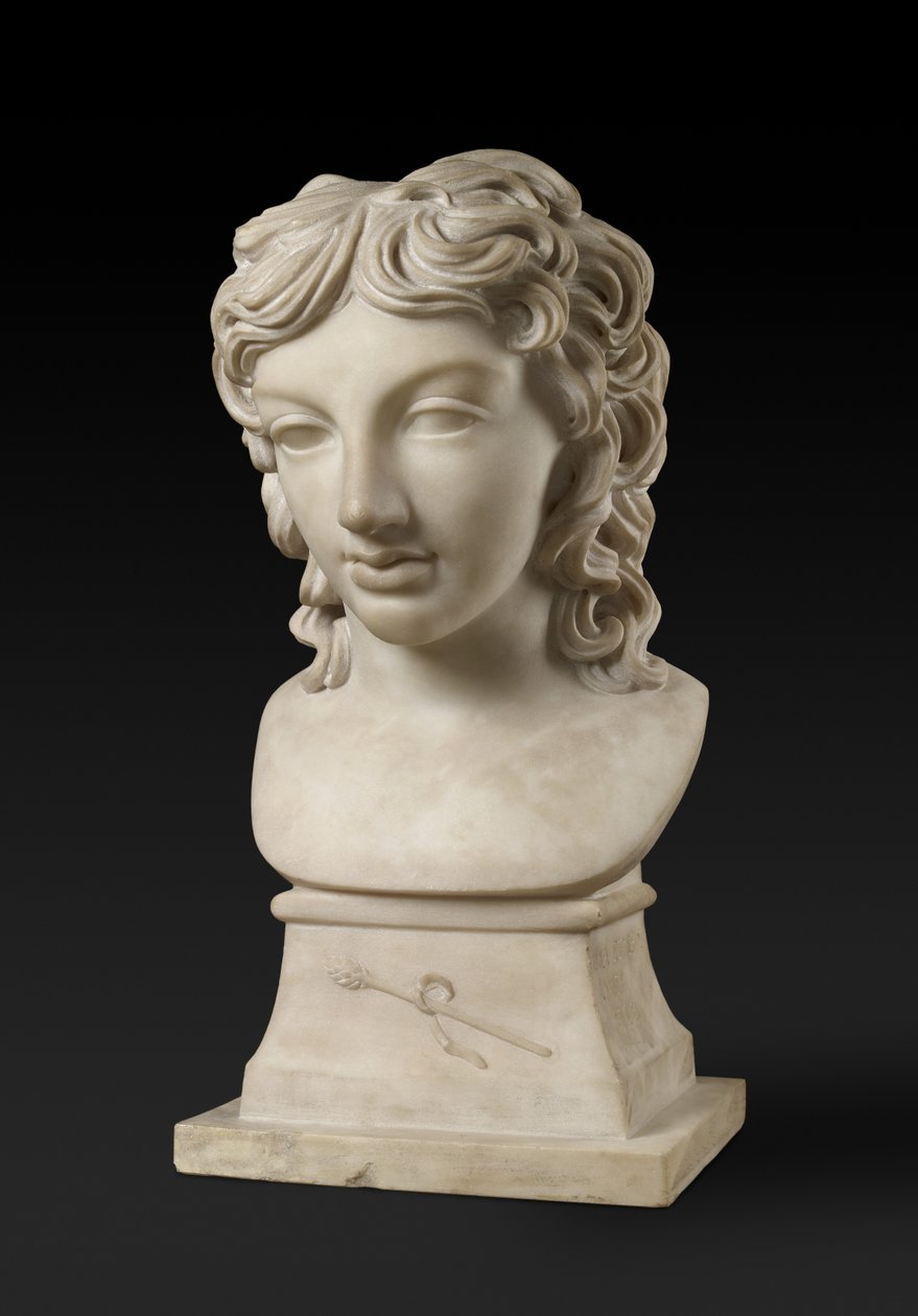 Bacchus के चरित्र में राजकुमार हेनरी लुबोमिरस्की का वक्ष चित्र, 1787 (कैरारा मार्बल) द्वारा ऐनी सीमौर डमर