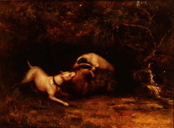 कुत्ते एक बेजर को काटते हुए, c.1870 द्वारा गुमनाम