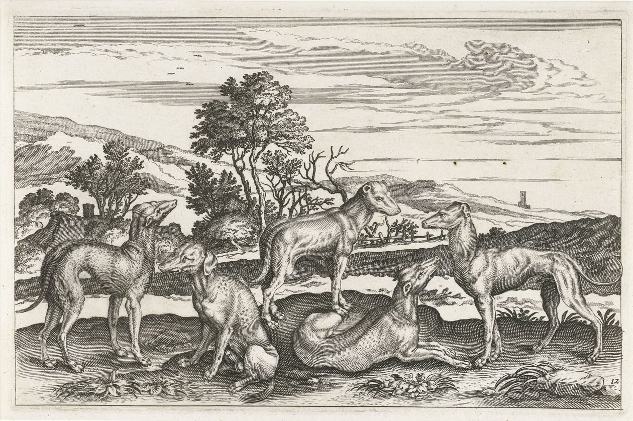शिकारी कुत्ते चार पैर वाले जानवर (श्रृंखला शीर्षक) Animalivm Qvaddrvpedvm (श्रृंखला शीर्षक) द्वारा गुमनाम