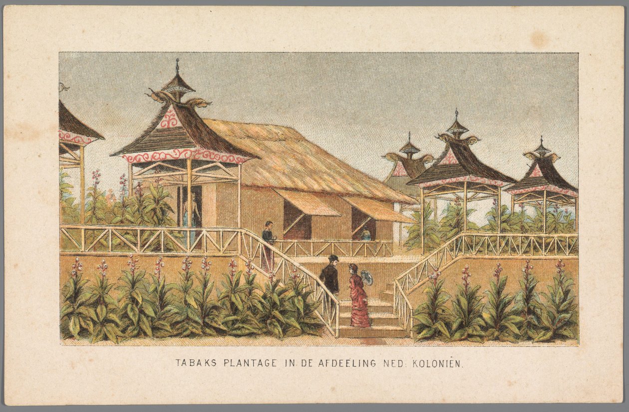1883 में एम्स्टर्डम में विश्व प्रदर्शनी में डच उपनिवेशों का तम्बाकू बागान डच उपनिवेशों के खंड में तम्बाकू बागान (वस्तु पर शीर्षक) 1883 में एम्स्टर्डम की स्मृति (वस्तु पर श्रृंखला शीर्षक) द्वारा गुमनाम