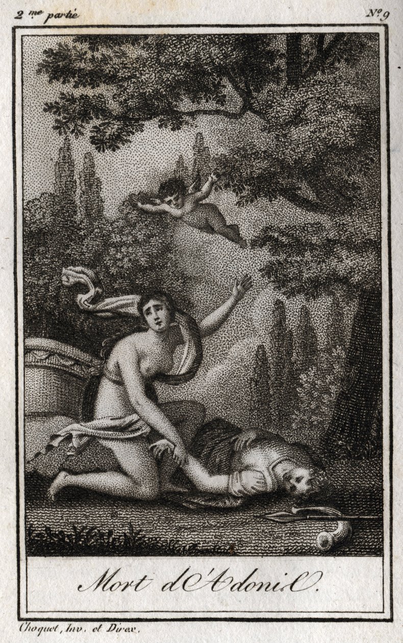 अदोनिस की मृत्यु। चार्ल्स अल्बर्ट डेमोस्टियर (1760-1801) द्वारा "लेट्रेस ए एमिली सुर ला मिथोलॉजी" में 1819 से उत्कीर्ण। निजि संग्रह। द्वारा अनाम अनाम