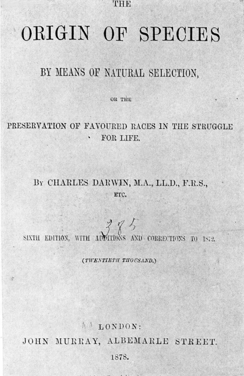 चार्ल्स डार्विन (1809 - 1882) की पुस्तक "द ओरिजिन ऑफ स्पीशीज़" का कवर पेज। 1878 का संस्करण। द्वारा अनाम अनाम