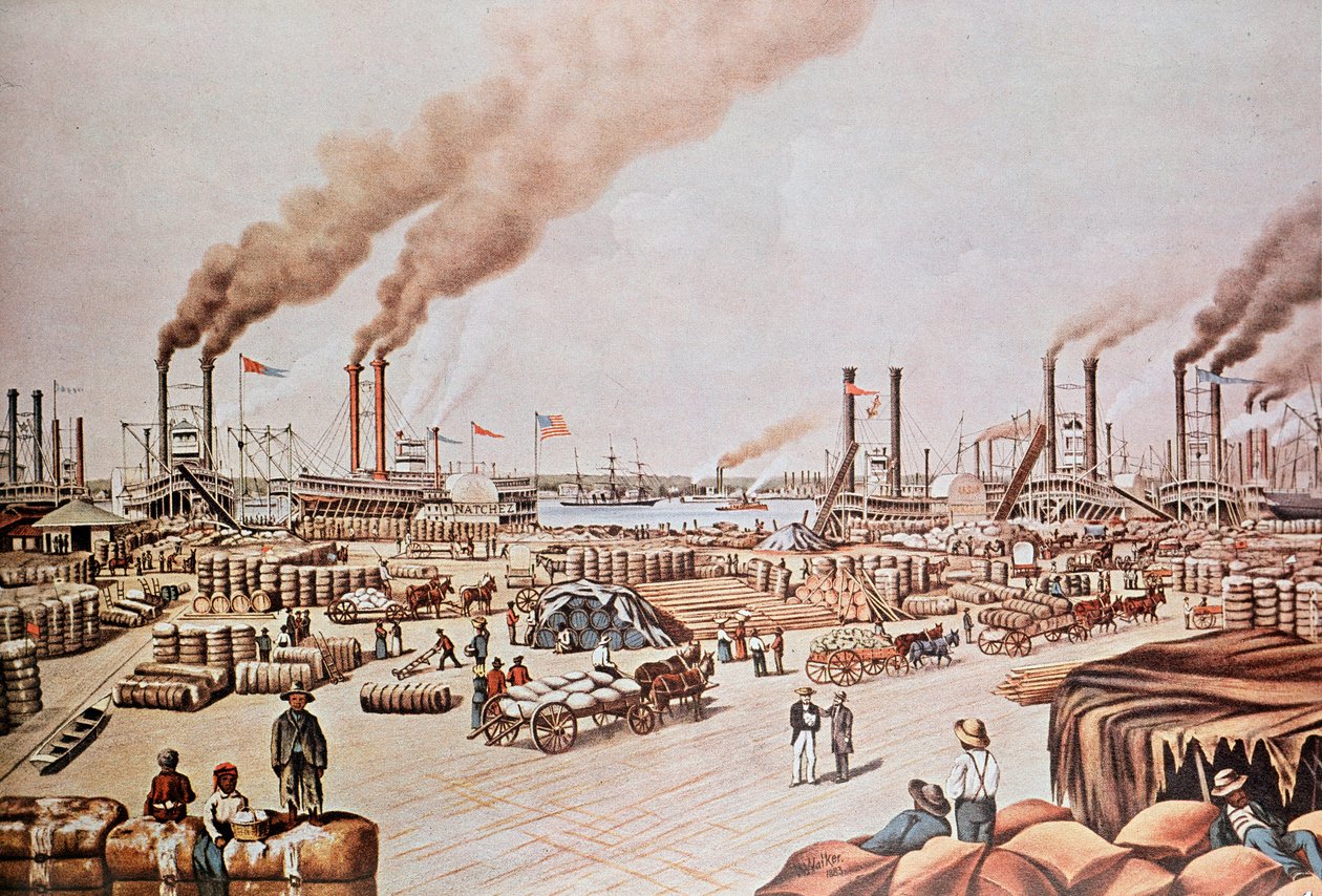 न्यू ऑरलियन्स हार्बर व्हार्फ (संयुक्त राज्य अमेरिका): कपास लोड हो रहा है। 1876. निजी संग्रह। द्वारा अनाम अनाम